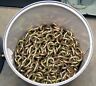 3533-544-35 Laclede Chain Gold Chromate Ft Grade Trade Size 045768712390