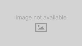 Rts1006 Fairchild Industries 41in Rubber Tarp Strap With Tw