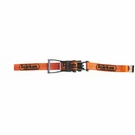 Ratchet Strap Cargo Tie-downs 2"X27' Heavy-duty Hook Flatbed Orange. Fixed Price $24.99.
